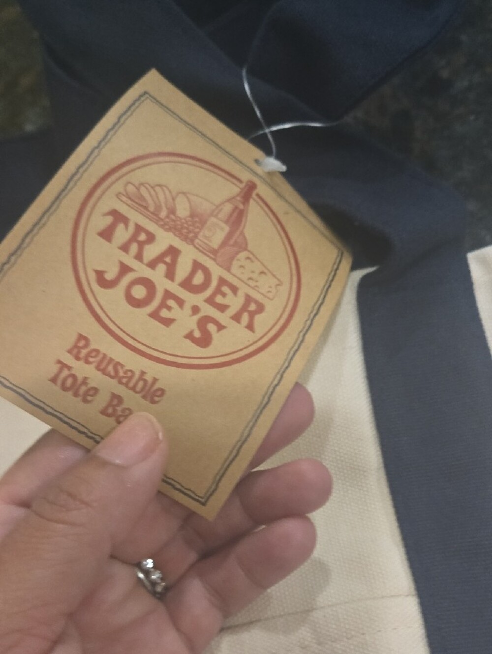 Trader Joe's Canvas Tote Bag in Cream and Navy - Picture 3 of 3